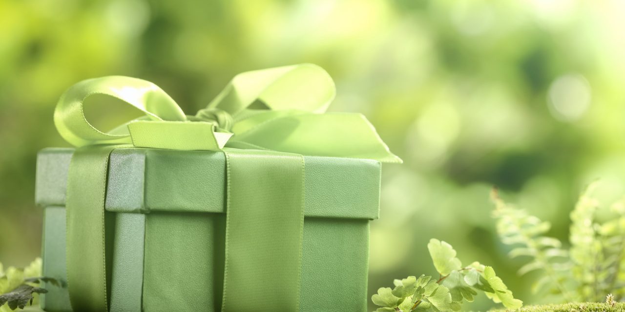 Top Things to Consider When Buying a Present for an Eco-conscious Friend