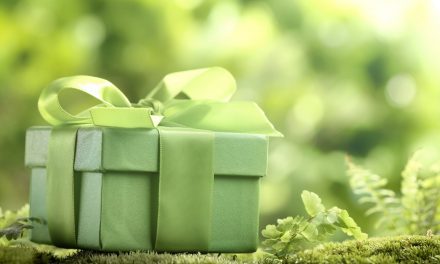 Top Things to Consider When Buying a Present for an Eco-conscious Friend
