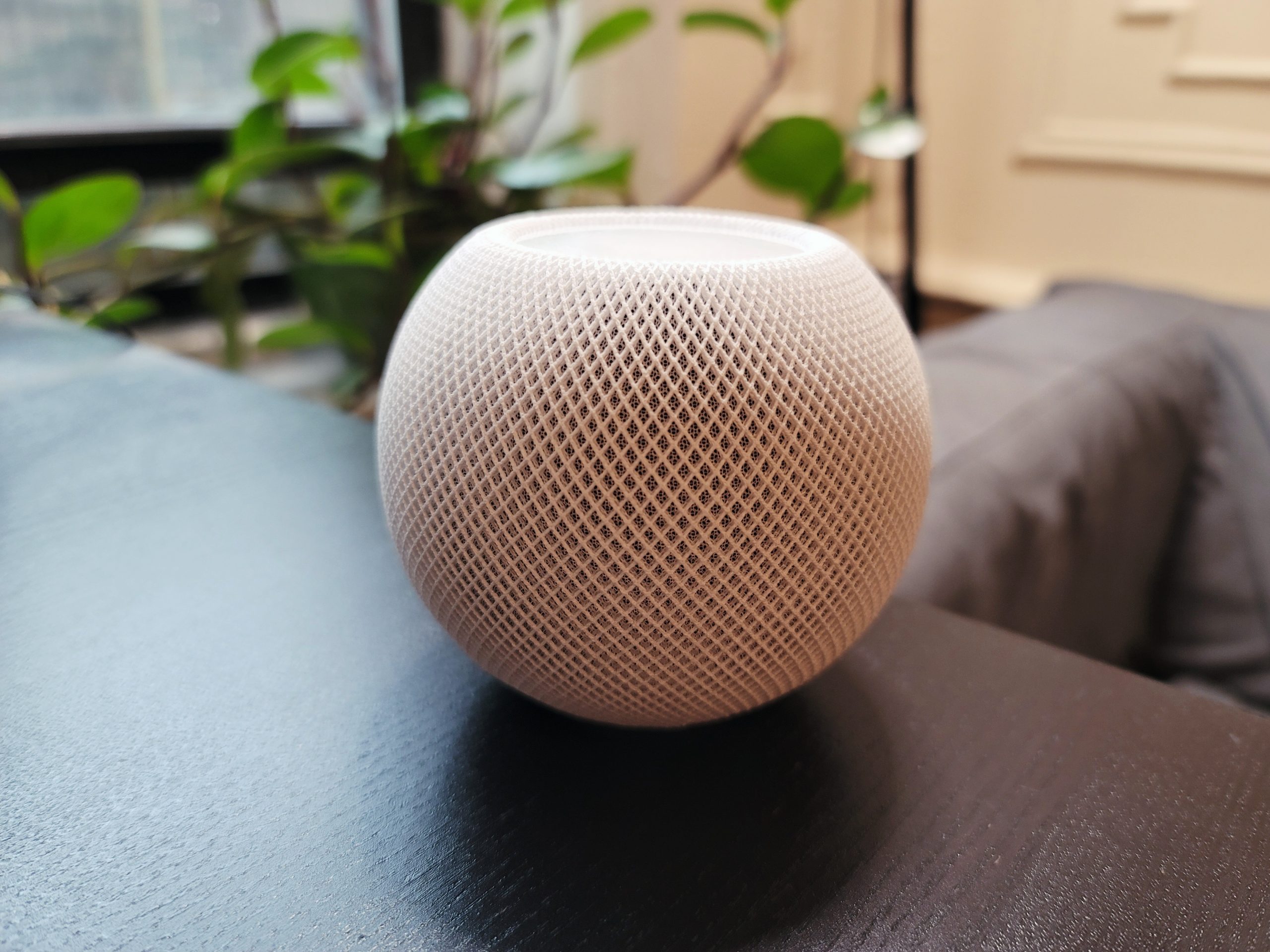 What Gadget Christmas Special- Apple Homepod Mini