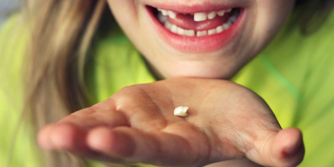 Tooth fairy pay gap shows financial challenges start in childhood